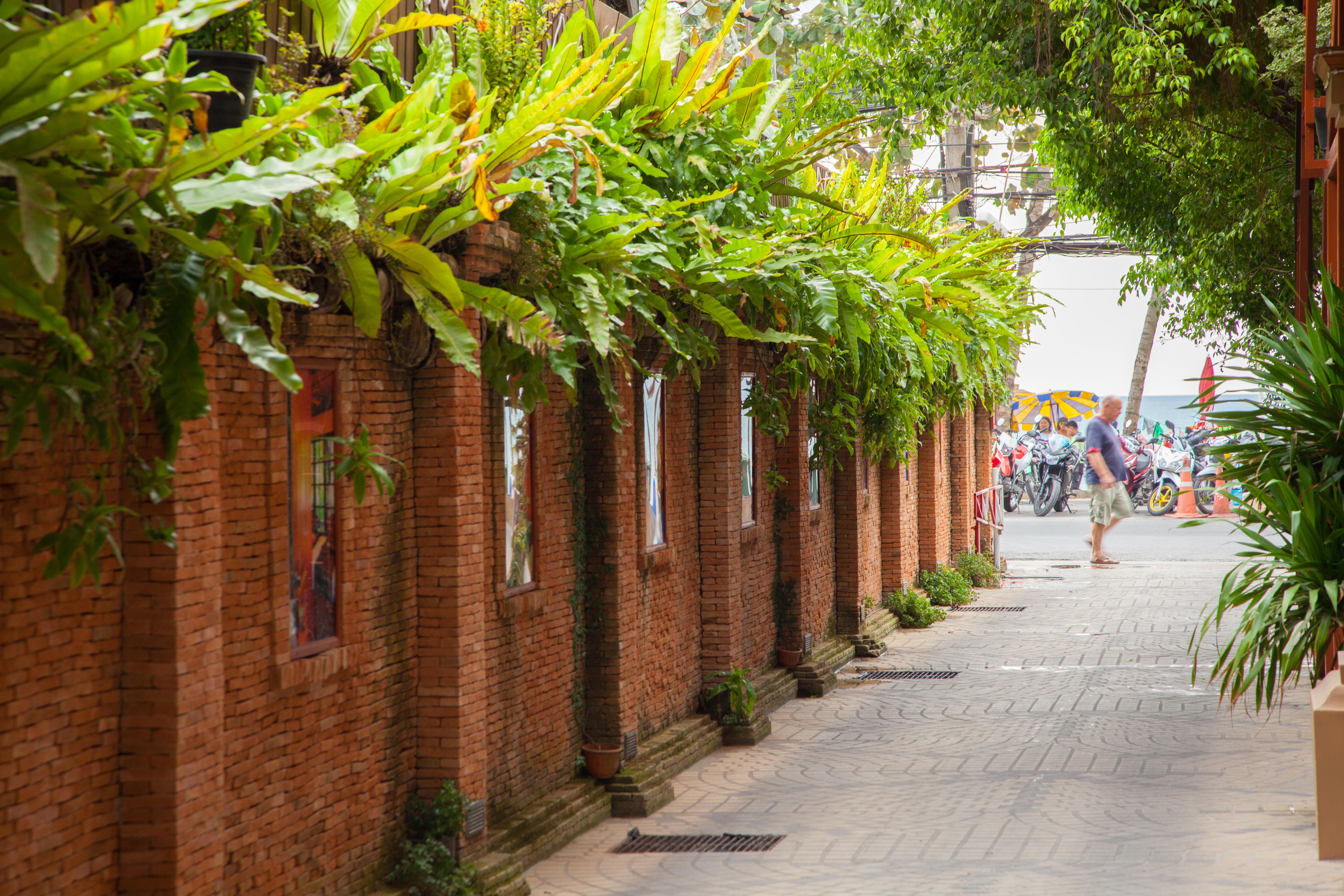Tropica Bungalow Beach Hotel Patong Dış mekan fotoğraf